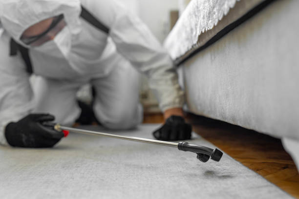 Professional Termite Control technician working in Calhoun, GA