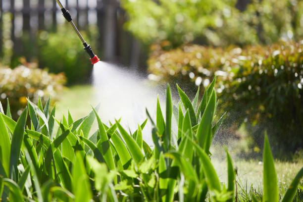 24/7 Emergency Termite Control experts in Calhoun, GA