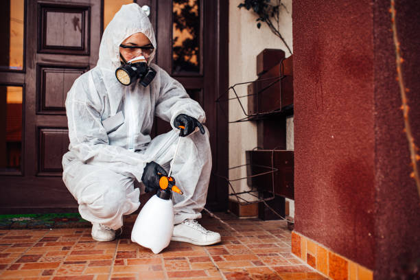 Reliable Termite Control contractor in Calhoun, GA by Nex Pest Control